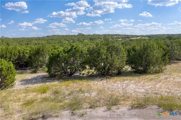 Lampasas, TX 76550,25 Alta Vista DR