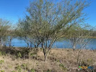 Kenedy, TX 78119,0 US-181 HWY