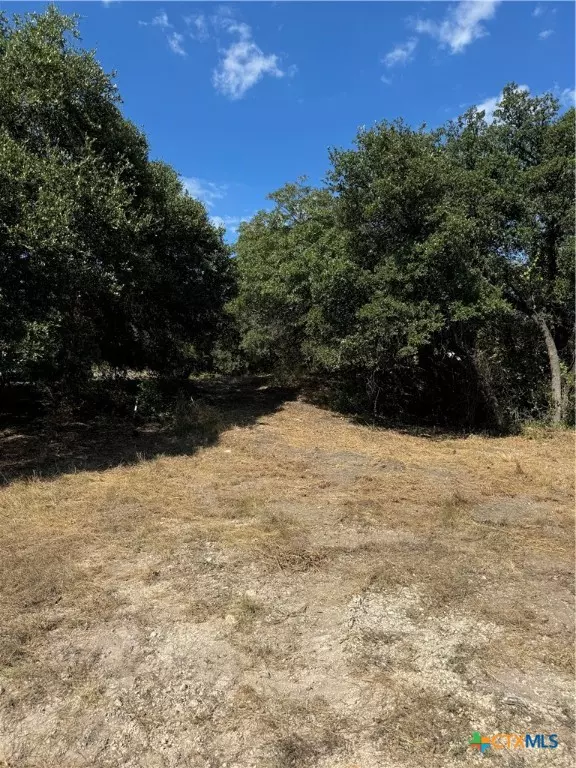 Belton, TX 76513,Lot 5 Bowles Ranch RD