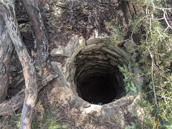 Carlton, TX 76436,1480 CR 127