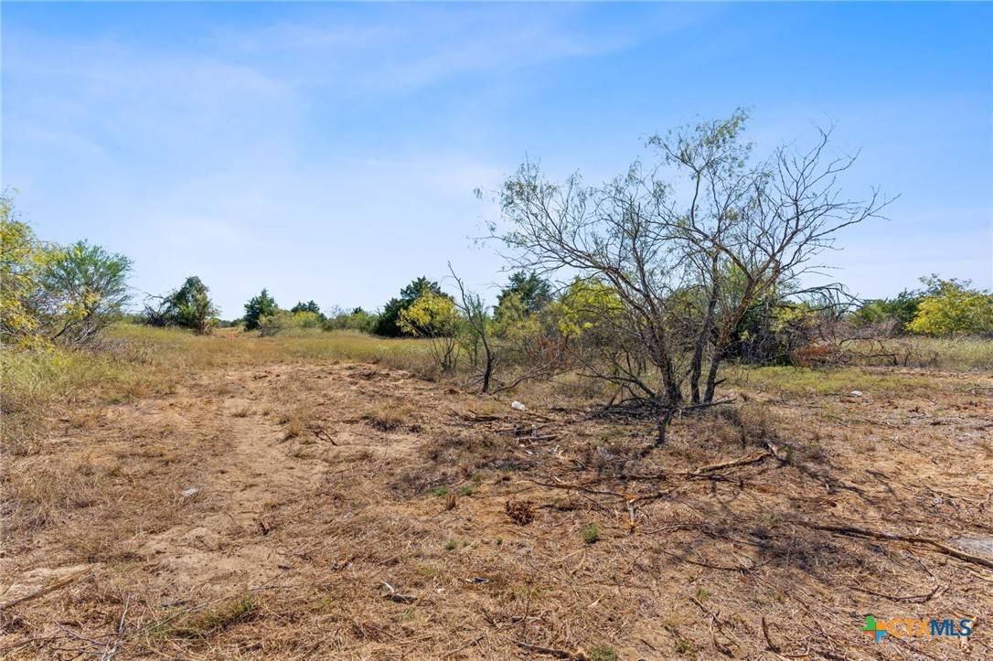 Dale, TX 78616,Lot 4 Tumbleweed TRL