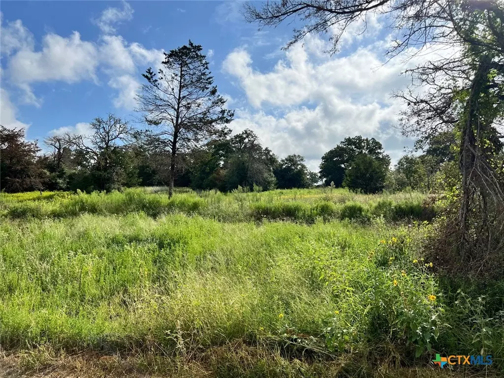 Milano, TX 76556,Lot 4 & 7 County Road 322