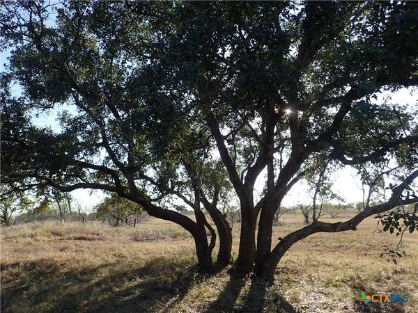 1250 Chalk RD,  Harwood,  TX 78632