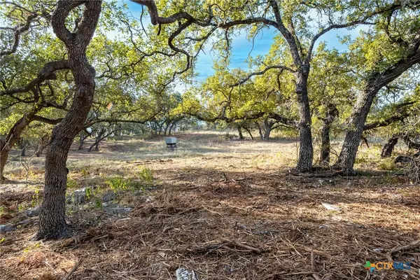 New Braunfels, TX 78132,339 Hidden Pointe