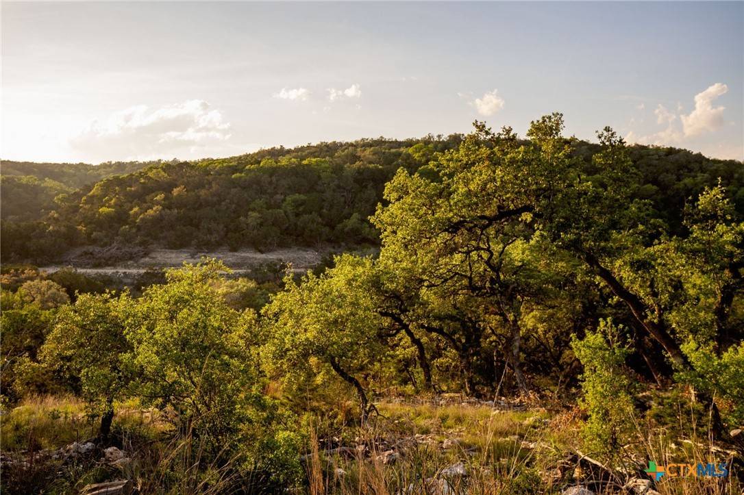 New Braunfels, TX 78132,1333 Powder Ridge RD