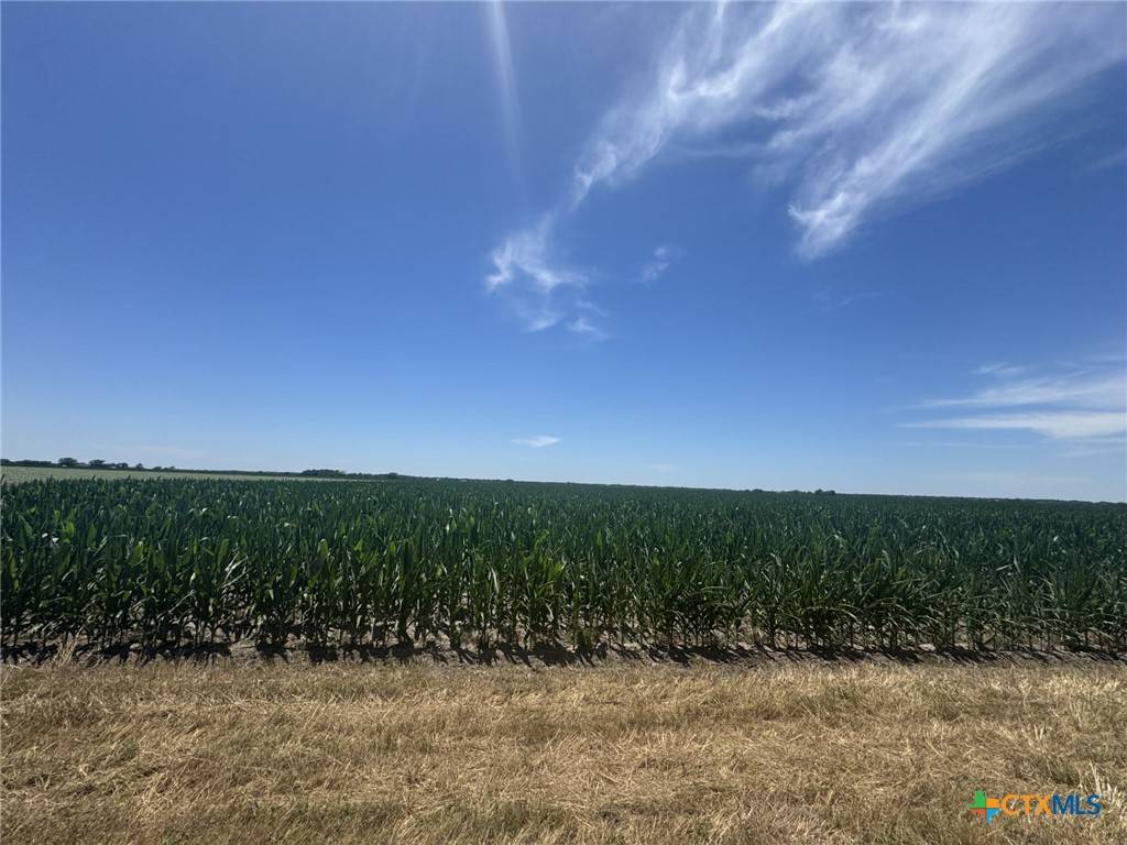 Louise, TX 77455,TBD CR 335 RD