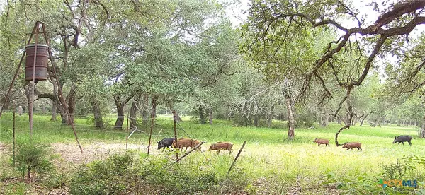 Garwood, TX 77442,TBD2 County Road 19