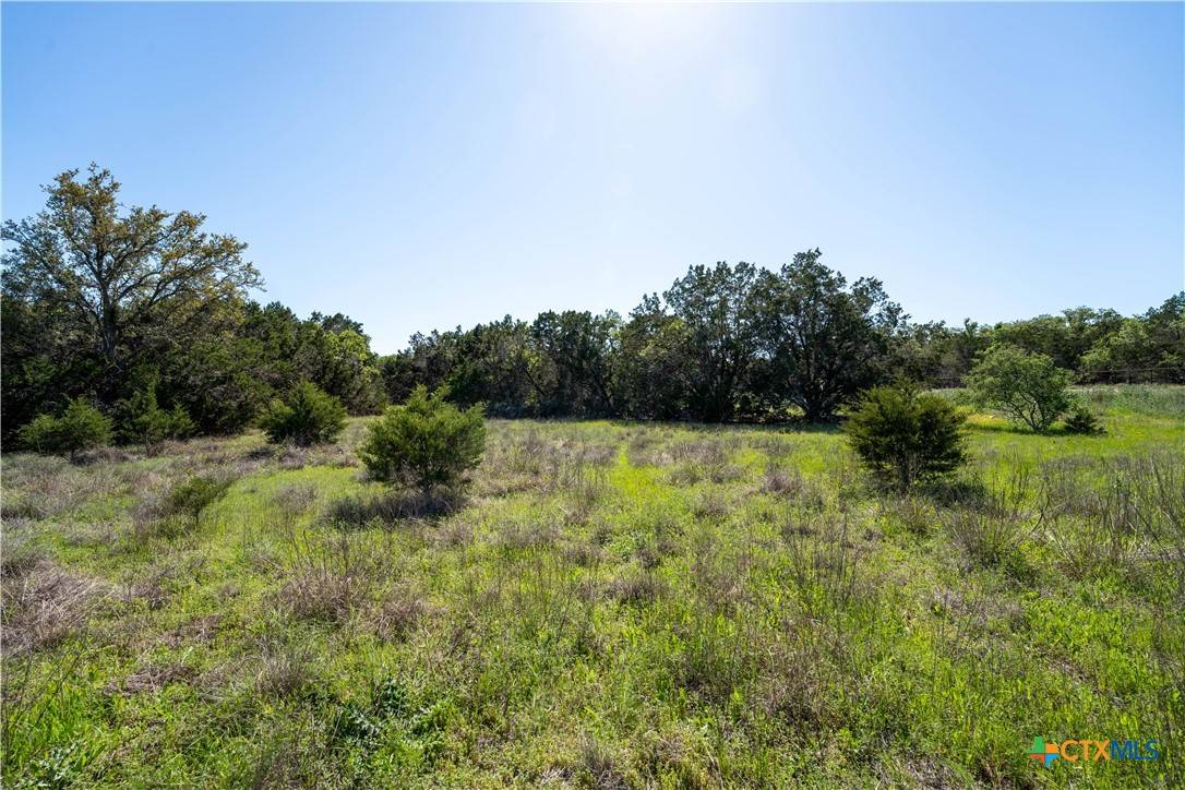 Canyon Lake, TX 78133,1720 Demi John Bend RD