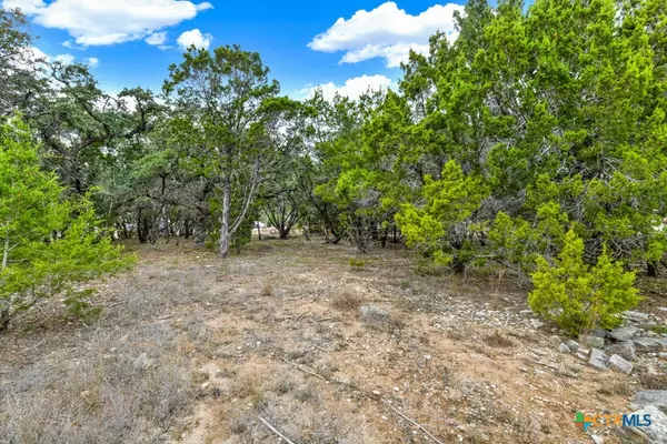 Canyon Lake, TX 78133,116 Single Tree CT