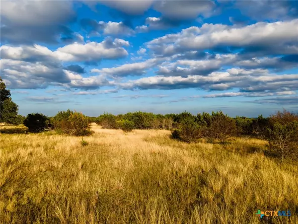 Lampasas, TX 76550,LOT 155 HEARTLEAF DR