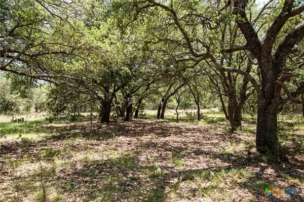 TBD Shin Oaks DR, Lampasas, TX 76550