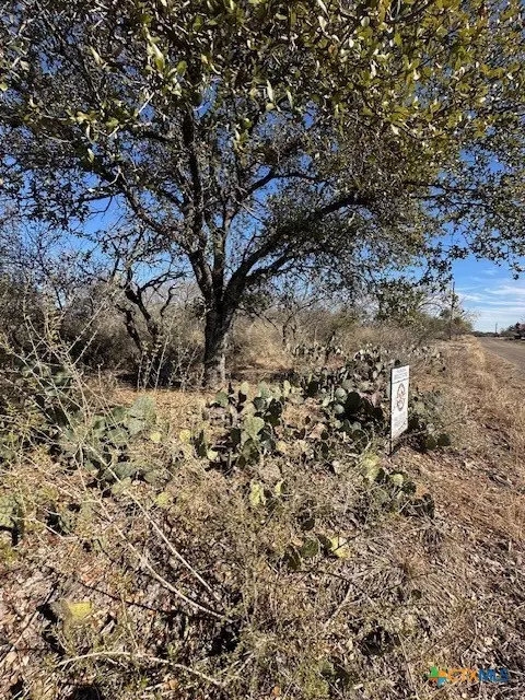 Granite Shoals, TX 78654,0 TBD Cedar DR