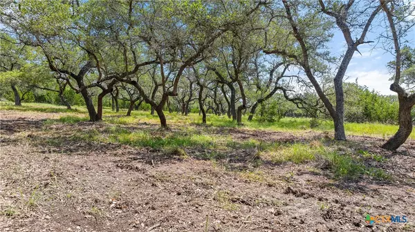 Fredericksburg, TX 78624,280 Brecken Ranch Rd