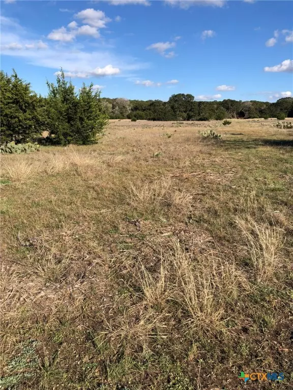 Lampasas, TX 76550,Lot 162 Addax CT