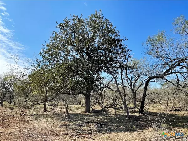 Leesville, TX 78122,309 Western Lane RD