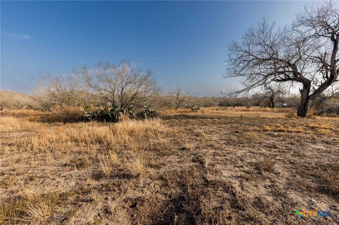 Sandia, TX 78383,294 County Road 362