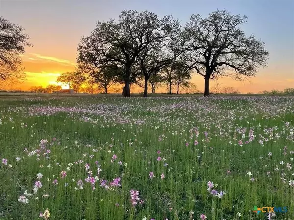 Seguin, TX 78155,460 Woelke RD