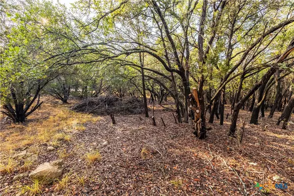 Lago Vista, TX 78645,21402 Broken Bow CV