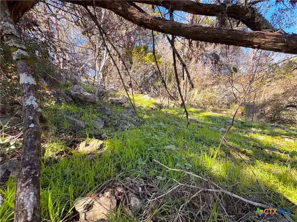 Spring Branch, TX 78070,3020 Tanglewood TRL