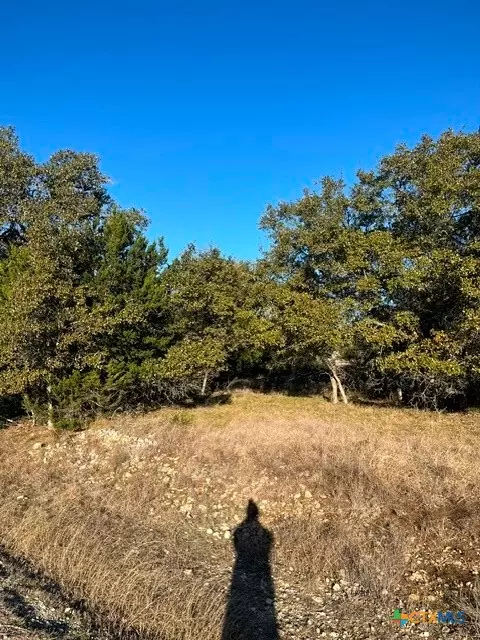 Blanco, TX 78606,205 S Calvin Barrett