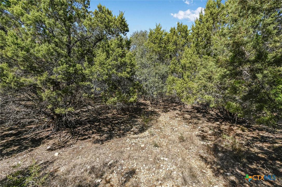 Wimberley, TX 78676,290 Hill Country TRL