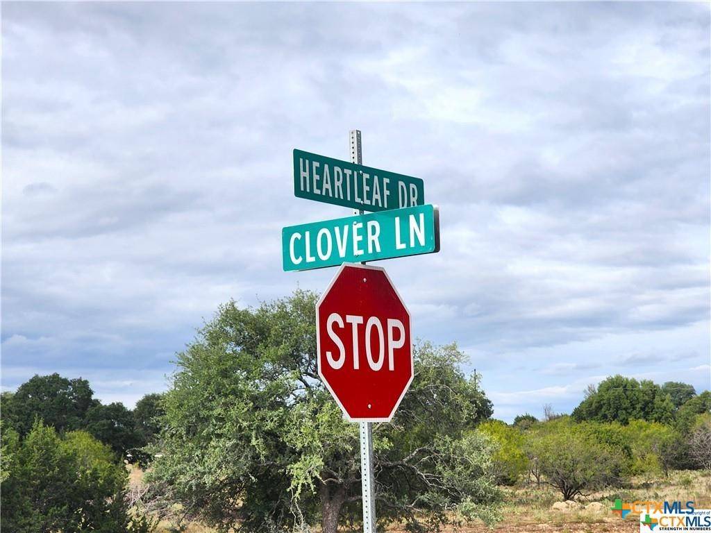 Lampasas, TX 76550,#175 Cross Timber Ranch