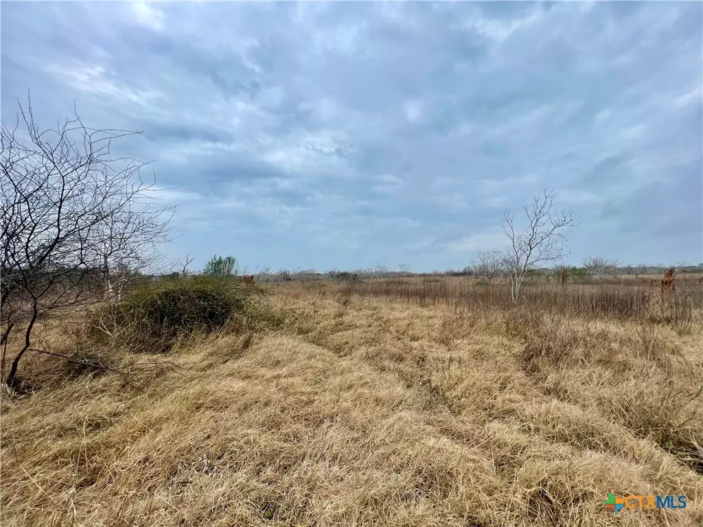 Seadrift, TX 77983,00 Freebird Lane