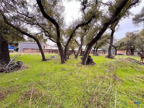 Canyon Lake, TX 78133,TBD Irene DR
