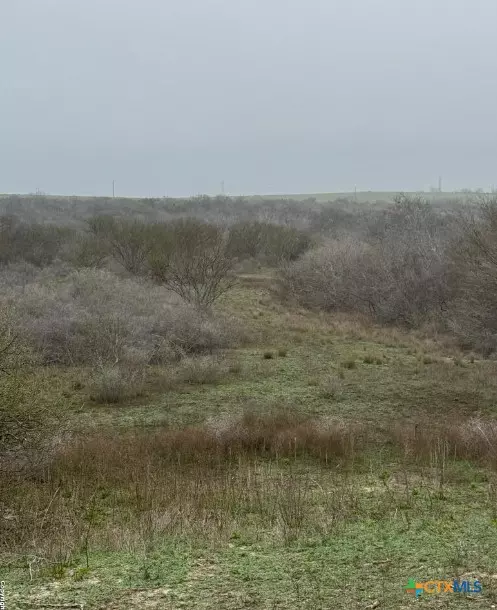 Kenedy, TX 78119,000 S County Road 153