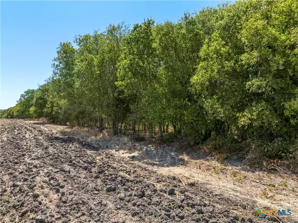 West, TX 76691,TBD +/- 12.5 Acres T M West Pkwy