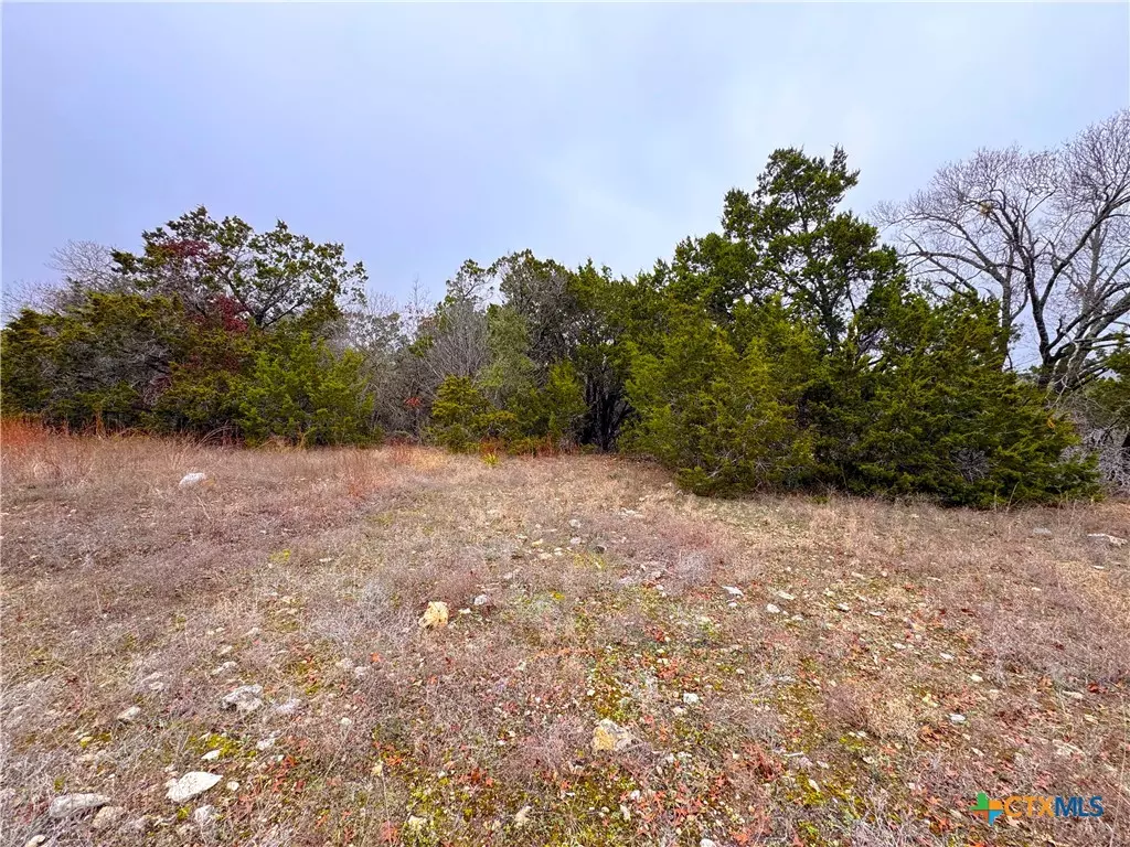 Spring Branch, TX 78070,0 Atlantis AVE