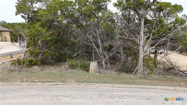Canyon Lake, TX 78133,2519 George PASS