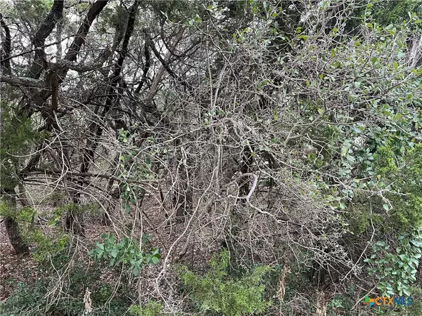 Canyon Lake, TX 78133,364 Lake Park LOOP