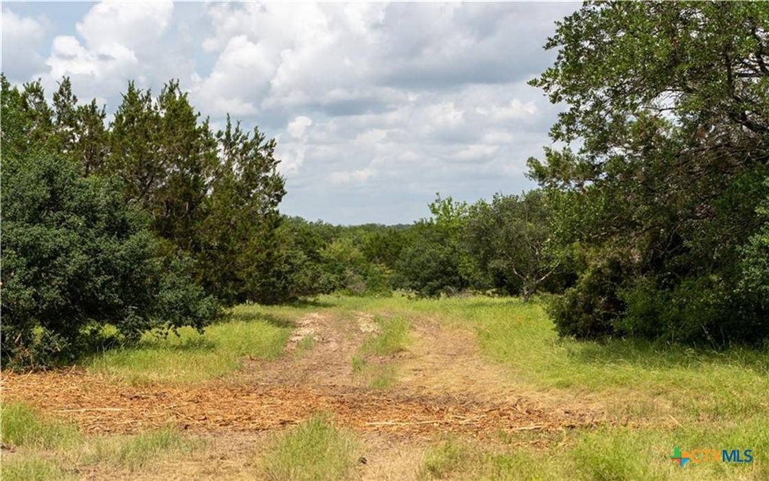 Salado, TX 76571,12323 Crows Ranch RD