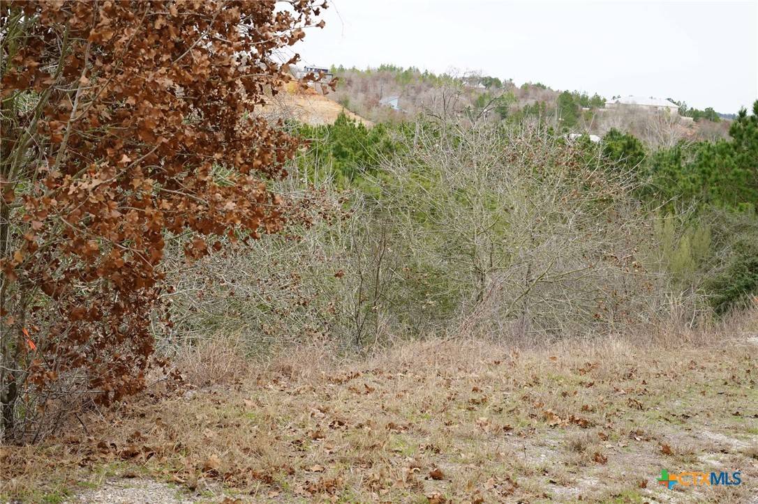 Bastrop, TX 78602,TBD Lot 858 Mamalu DR