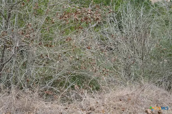 Bastrop, TX 78602,TBD Lot 858 Mamalu DR