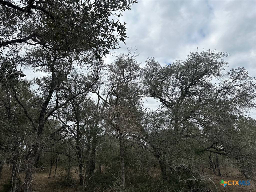 Meyersville, TX 77974,3 Dentler Tract 3 RD