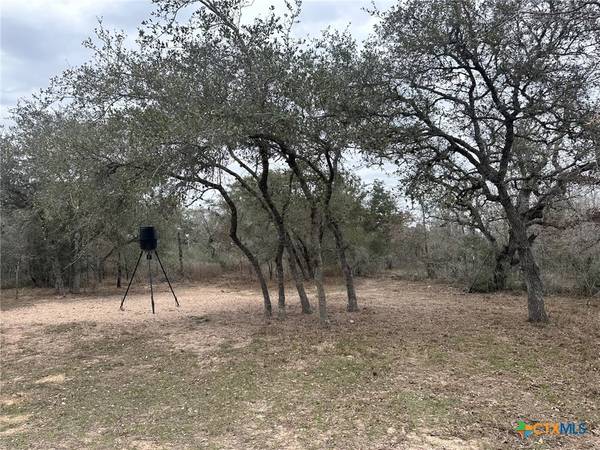 2 Dentler Tract 2 RD, Meyersville, TX 77974