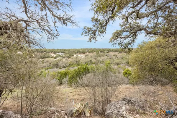 Spring Branch, TX 78070,500 Havasu PT