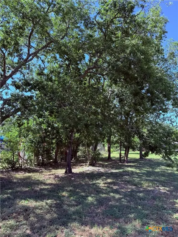 Liberty Hill, TX 78642,200 Carl Shipp DR
