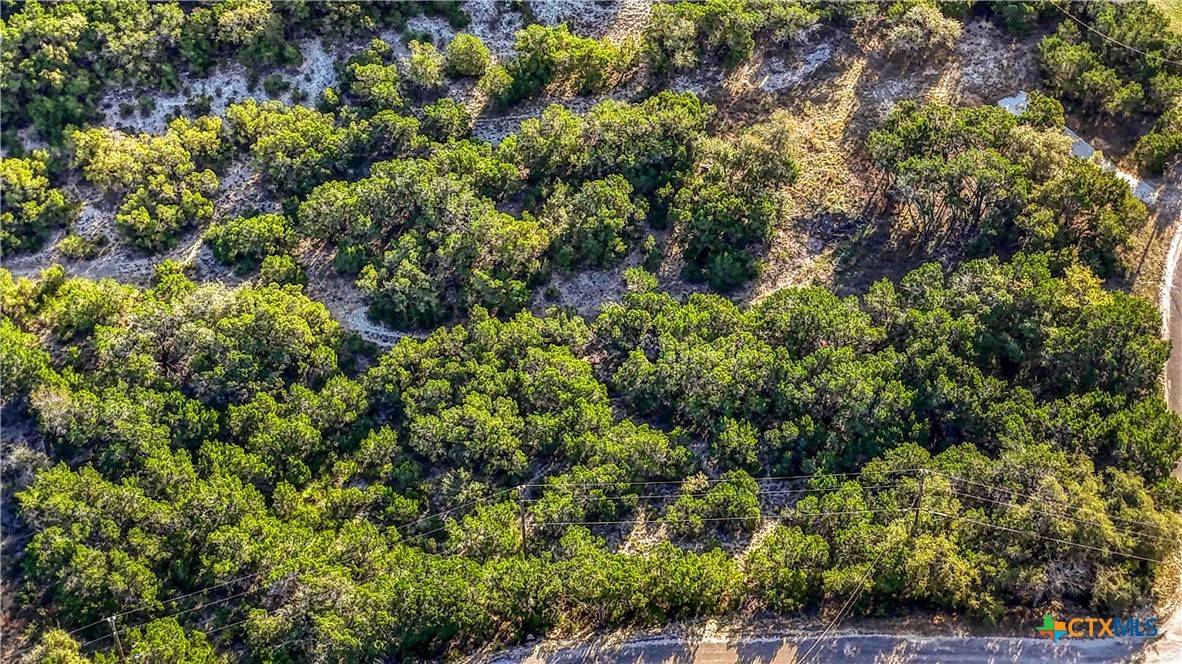 Canyon Lake, TX 78133,863 Valley RDG