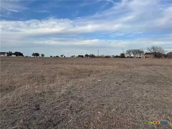 Burnet, TX 78611,103 Delorean CIR