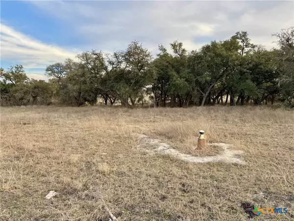 Burnet, TX 78611,103 Delorean CIR