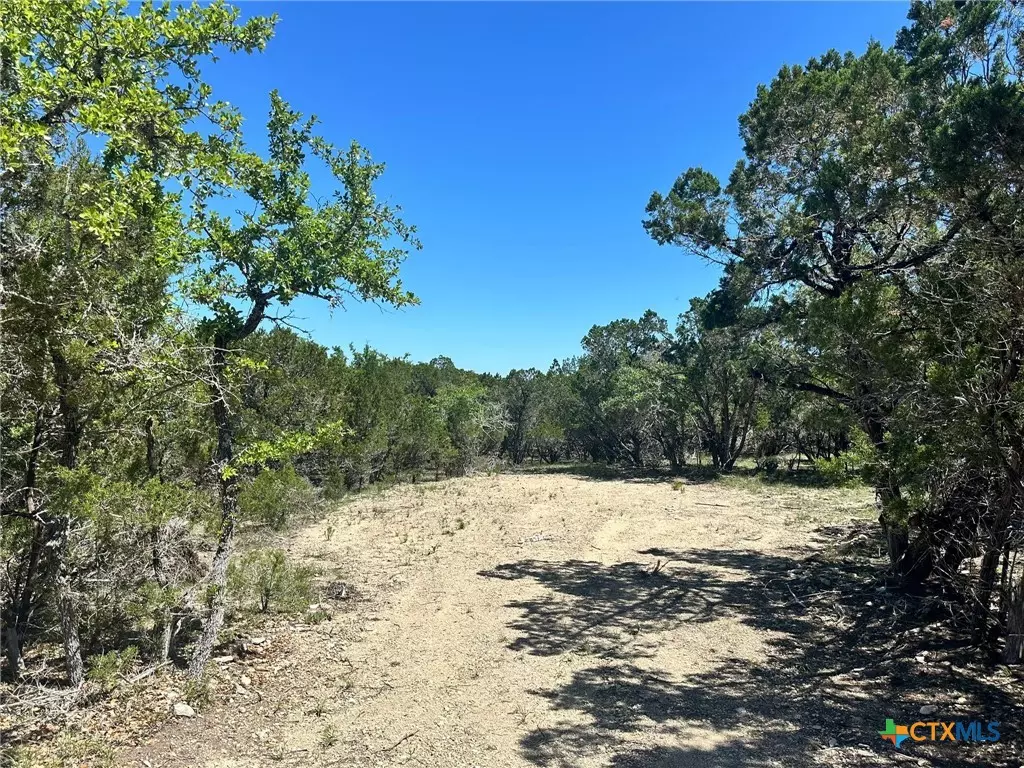 Canyon Lake, TX 78133,277 Gallagher DR