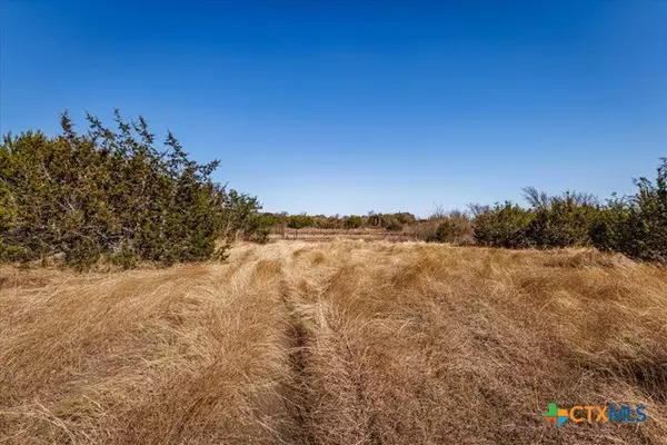 Gatesville, TX 76528,2998 Straws Mill RD