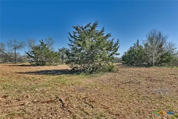 Flatonia, TX 78941,4253 N Hwy 95