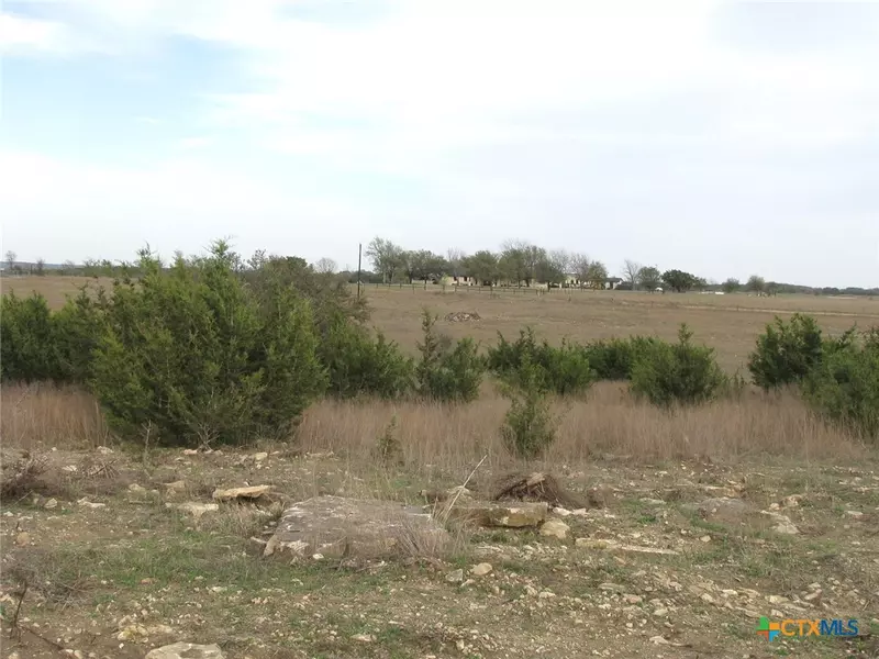 19.95 Acres TBD Old Georgetown RD, Gatesville, TX 76528