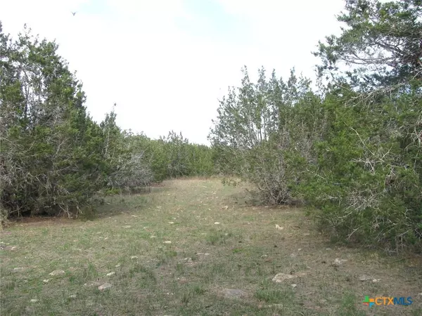 Gatesville, TX 76528,19.95 Acres TBD Old Georgetown RD