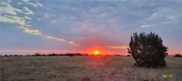 Hamilton, TX 76531,4453 County Road 619