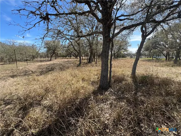 Hallettsville, TX 77964,TBD Private Road 1065
